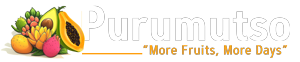 Purumutso Logo